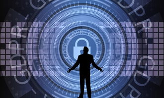 开云电竞入口-中国篮球联赛赛事安全管理优化与执行研究，篮球赛事安全风险